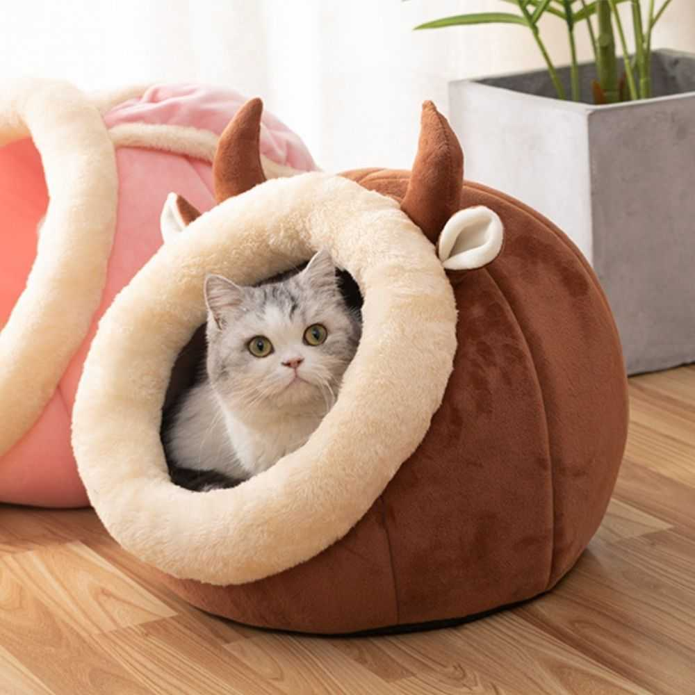 Semi-Enclosed Cat Nest Bed - in use