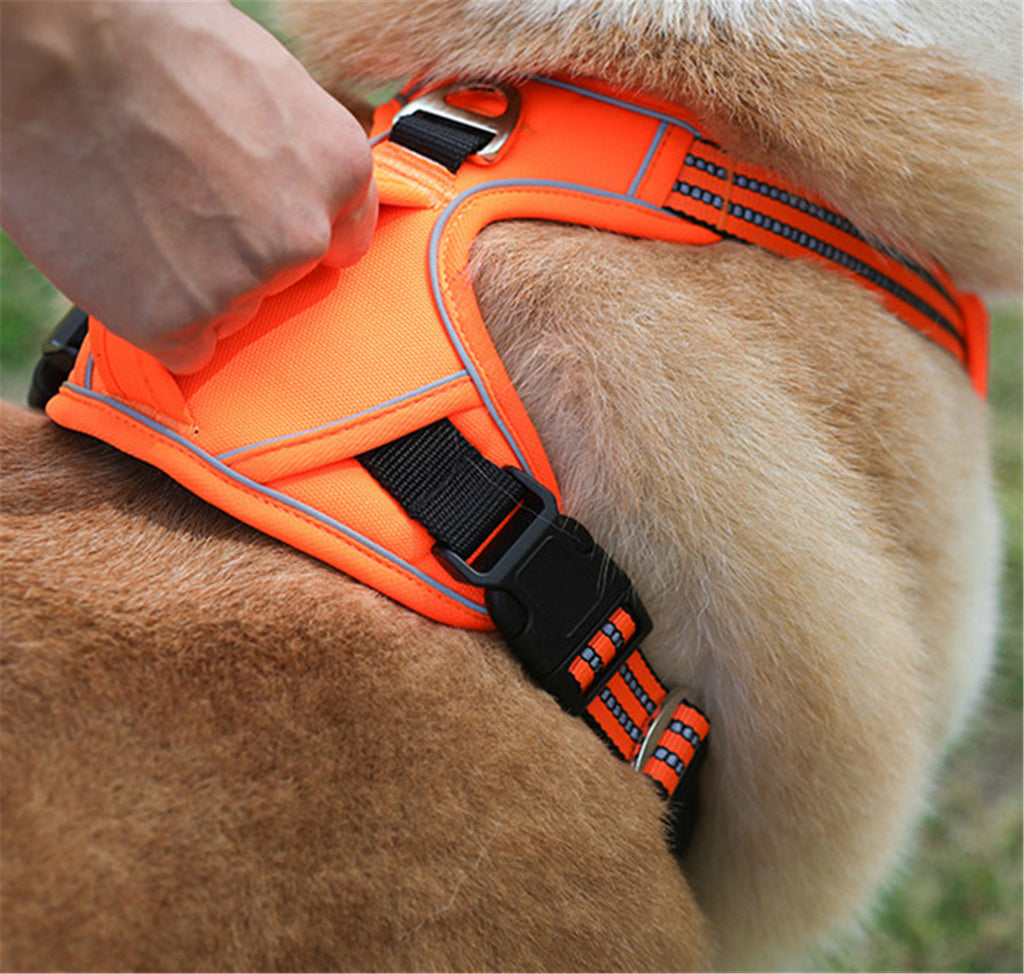 Waterproof Dog Harness - close-up detail view