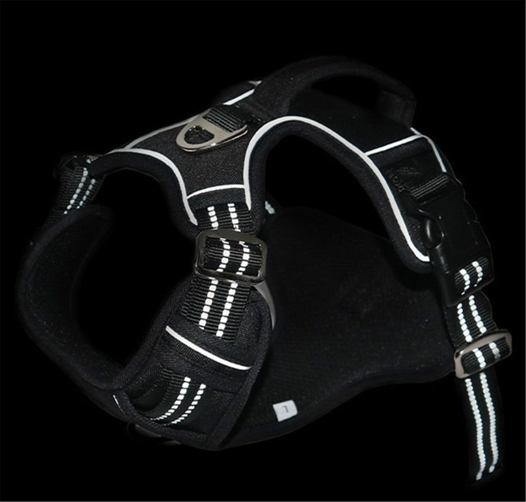 Waterproof Dog Harness - close-up detail view