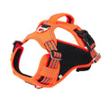 Waterproof Dog Harness - close-up detail view