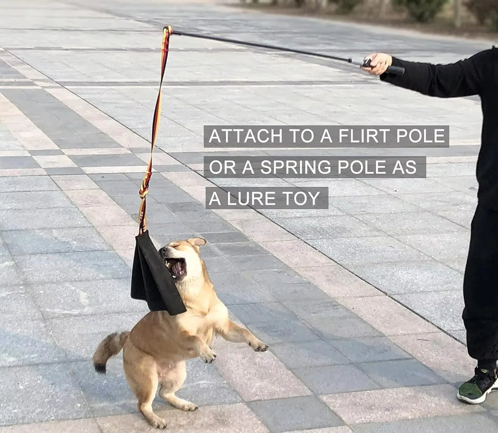 Prey-Drive Tug Toy - in use