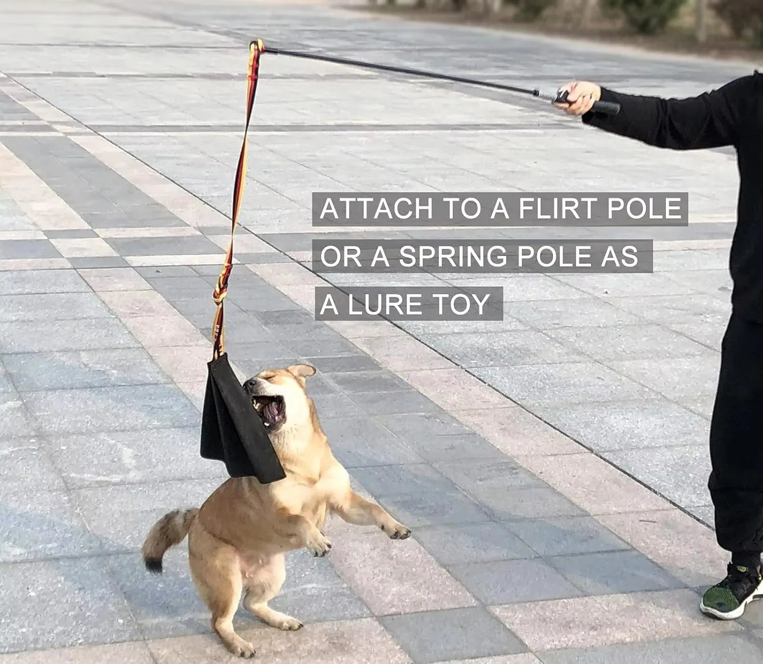Prey-Drive Tug Toy - in use