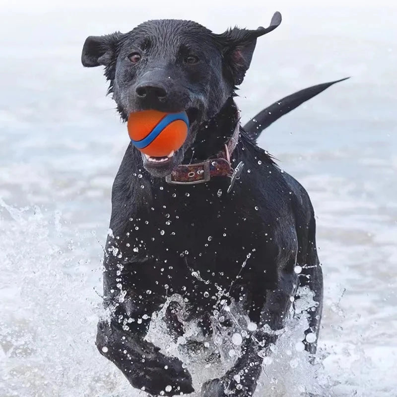 Durable Bouncy Fetch Ball for Dogs