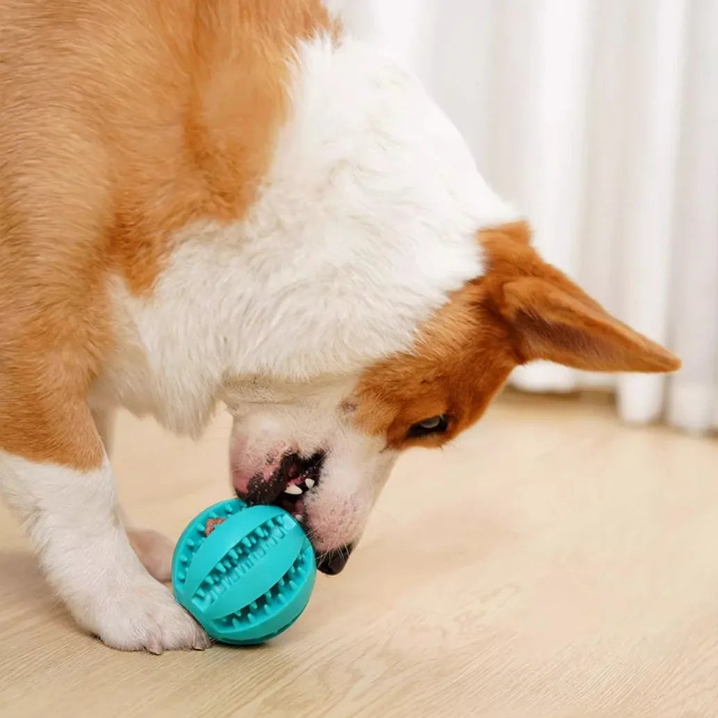 Interactive Treat-Dispensing Dental Chew Ball