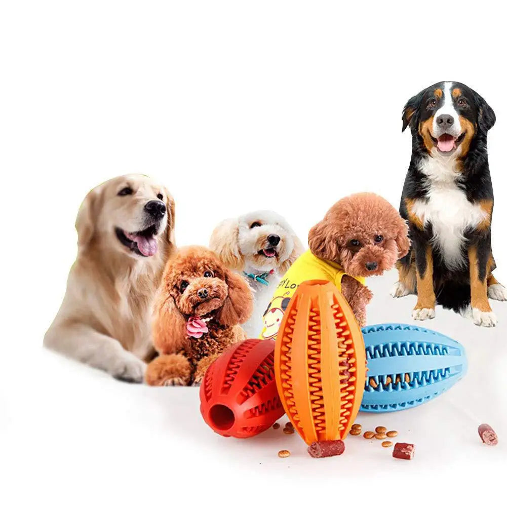 Interactive Treat-Dispensing Dental Chew Ball