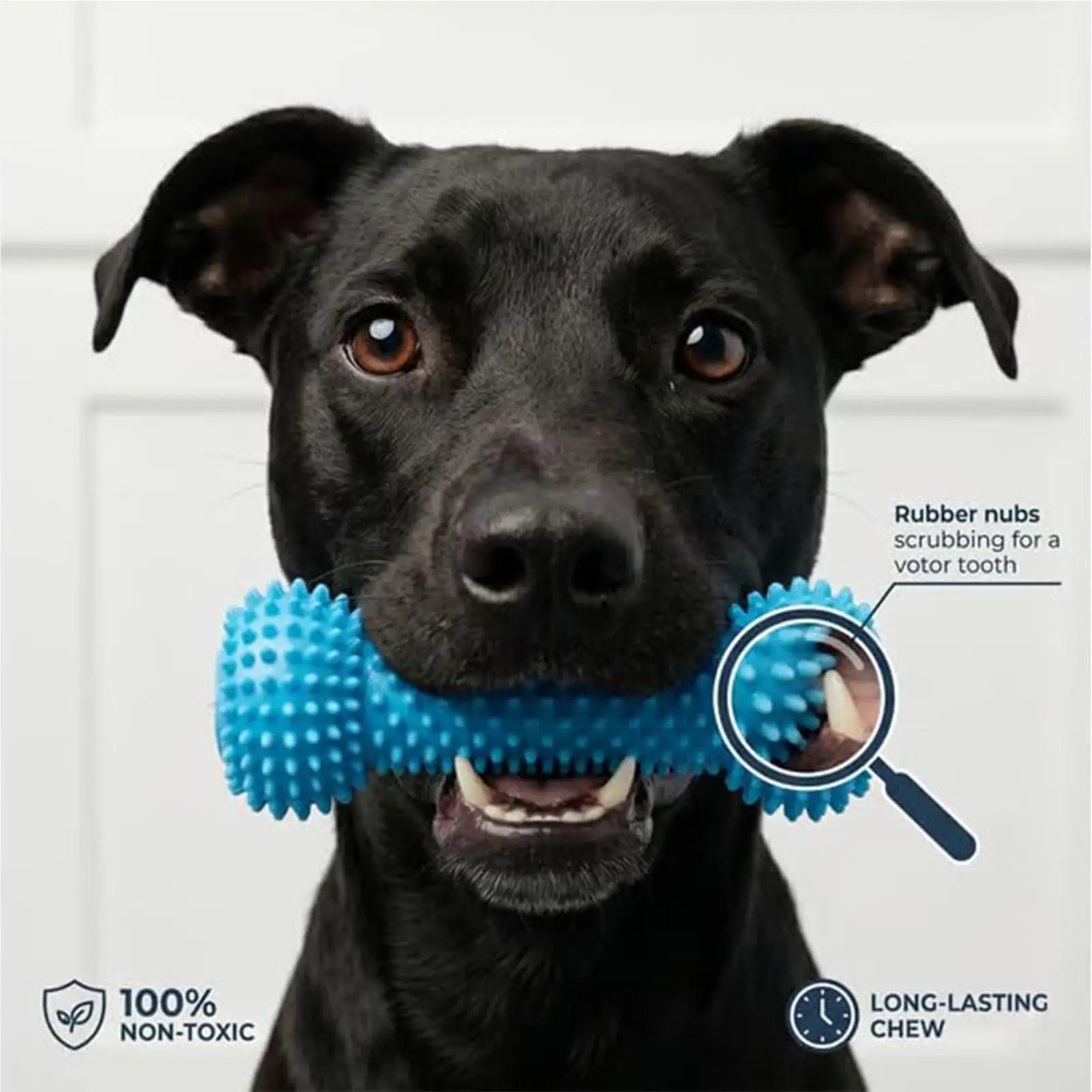 Double-Action Rubber Dental Chew Toy