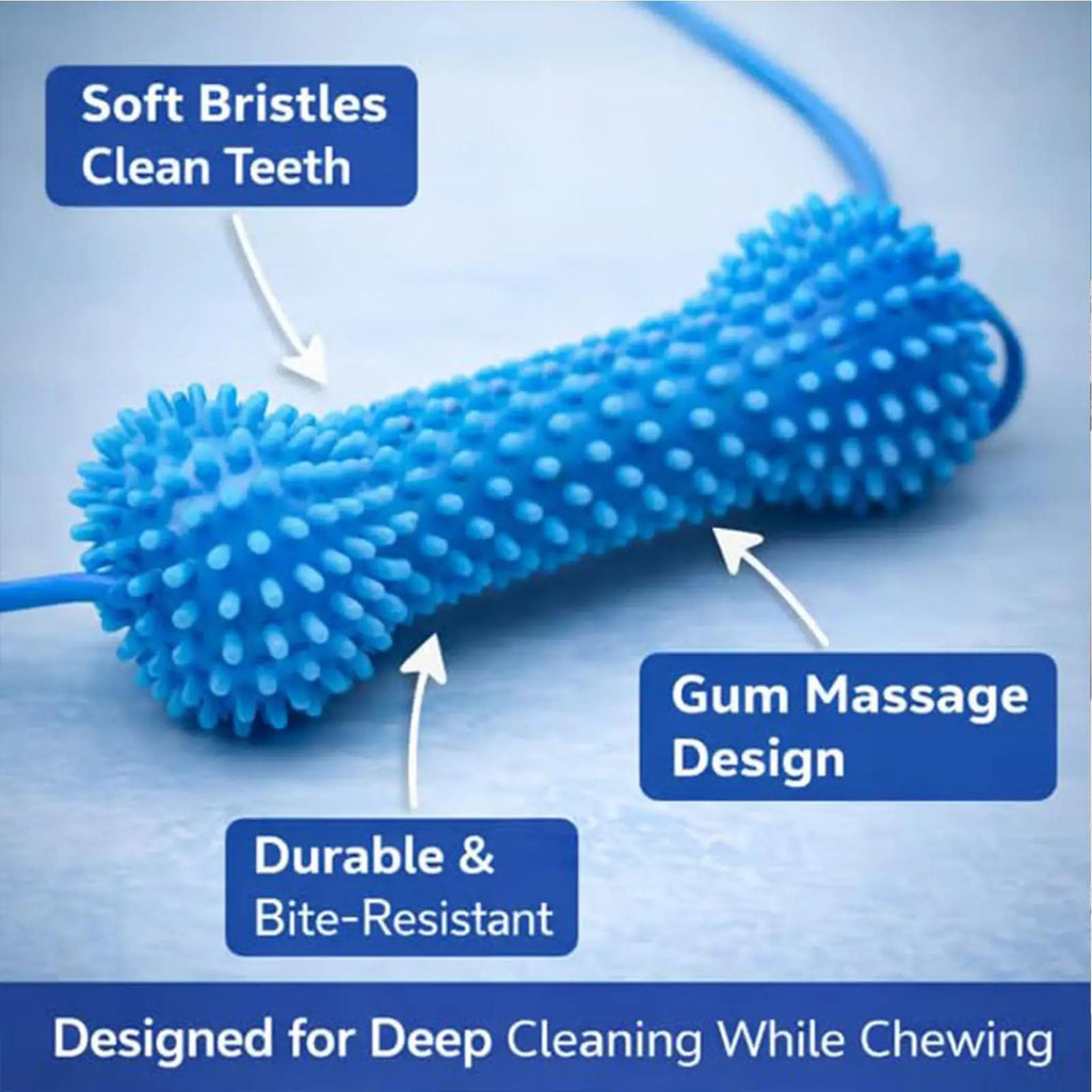 Double-Action Rubber Dental Chew Toy