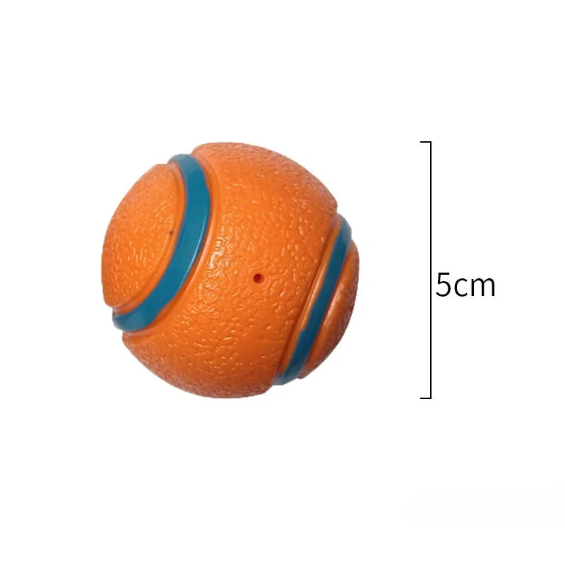 Durable Bouncy Fetch Ball for Dogs