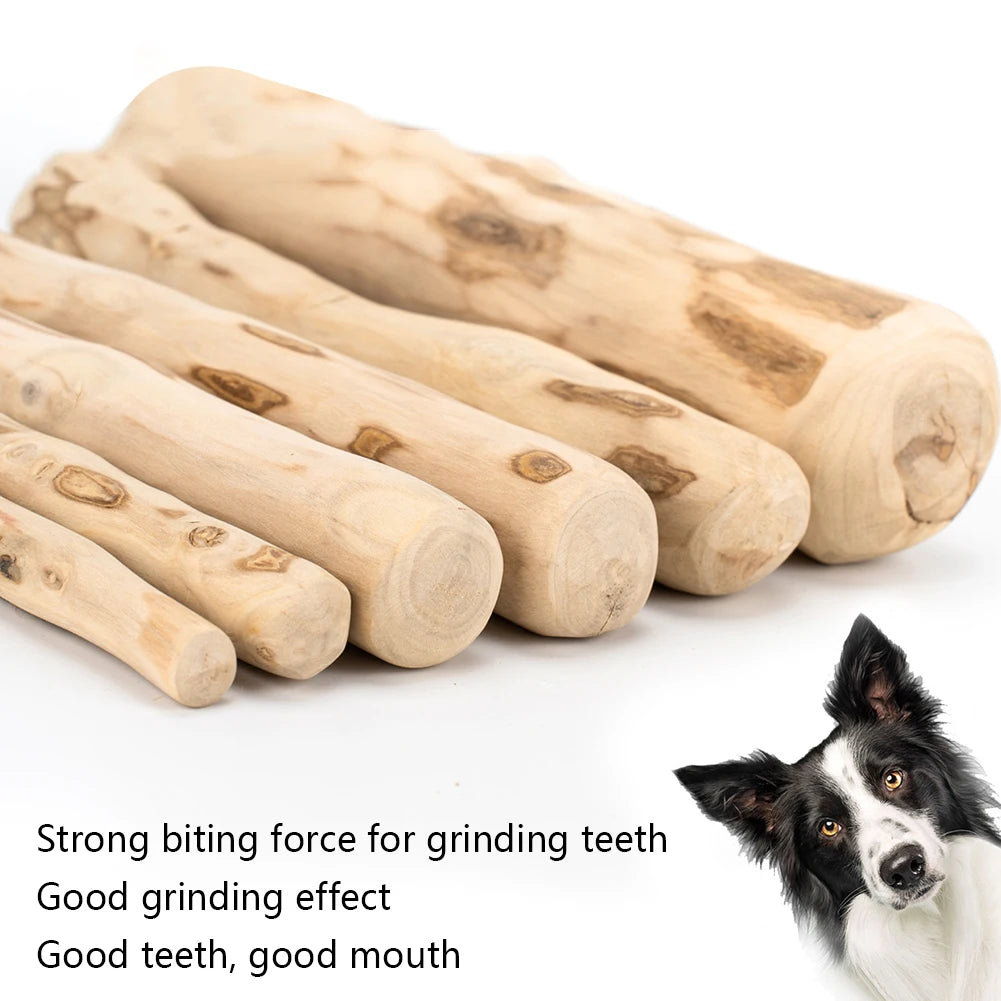 Coffee Wood Chew Stick - in use