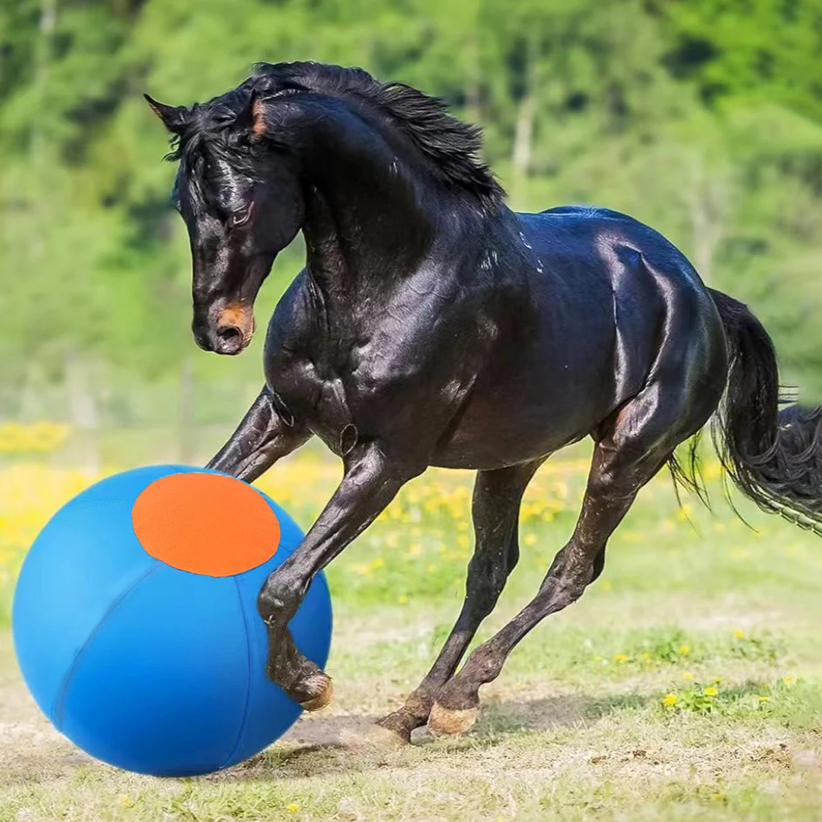 Inflatable Herding Ball Toy for Dogs