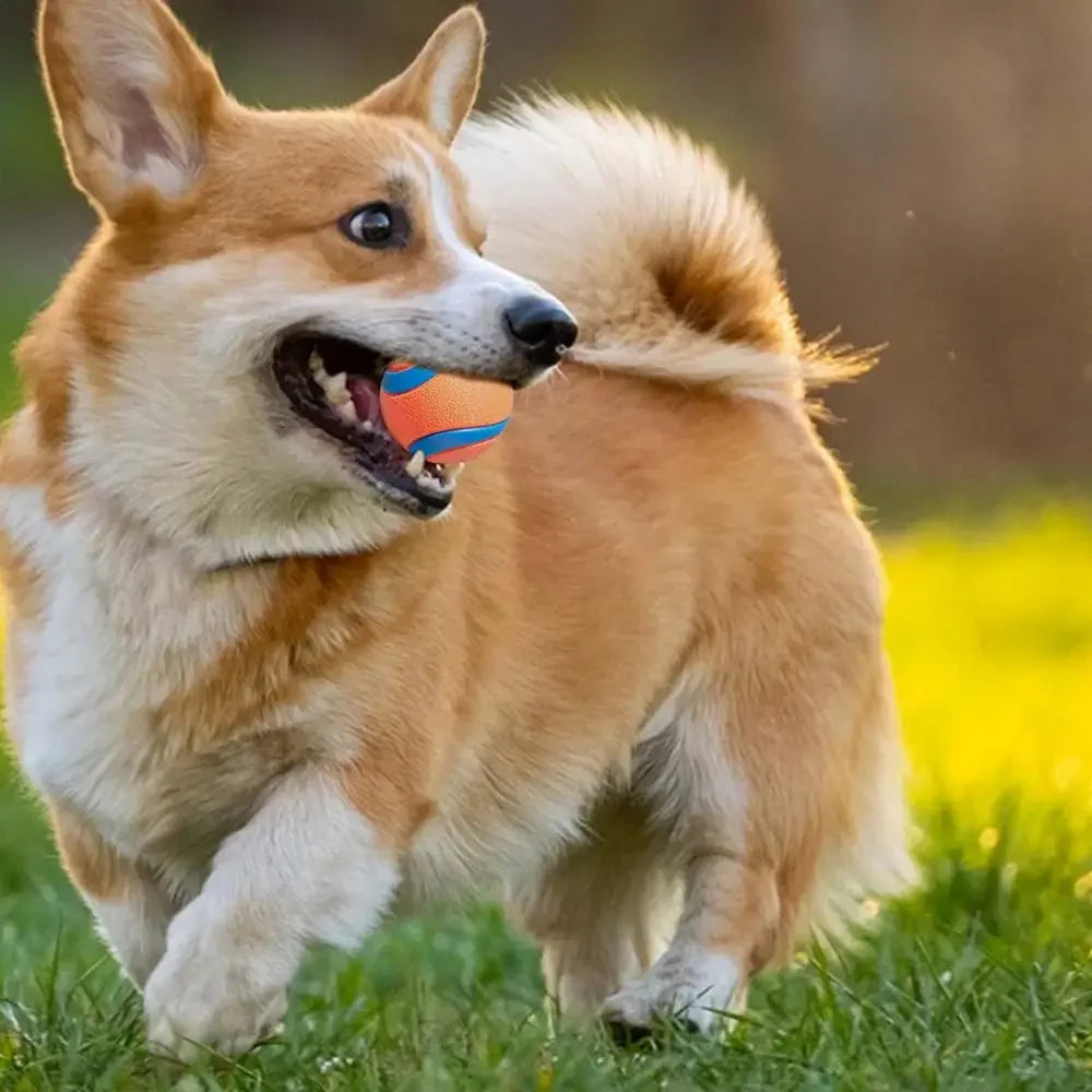 Durable Bouncy Fetch Ball for Dogs