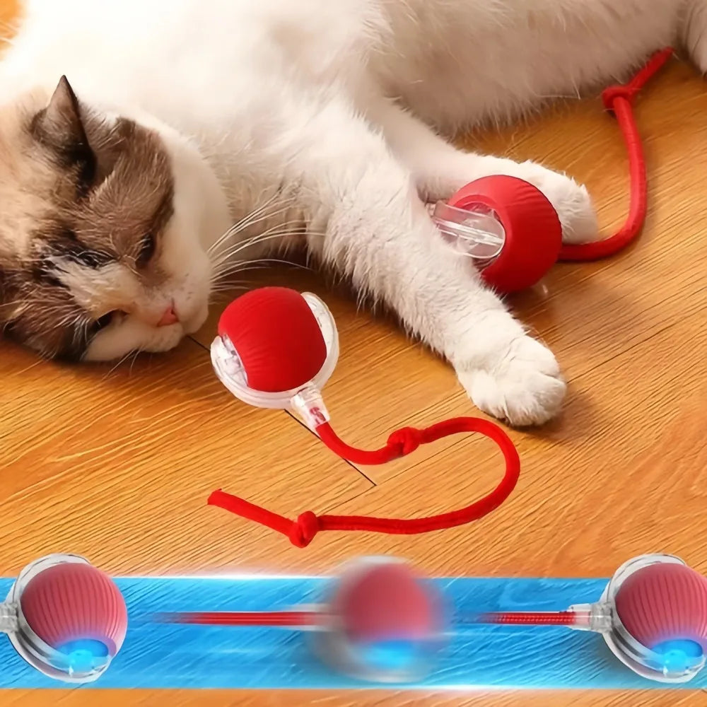 Automatic Rolling Ball Toy - size and colour reference