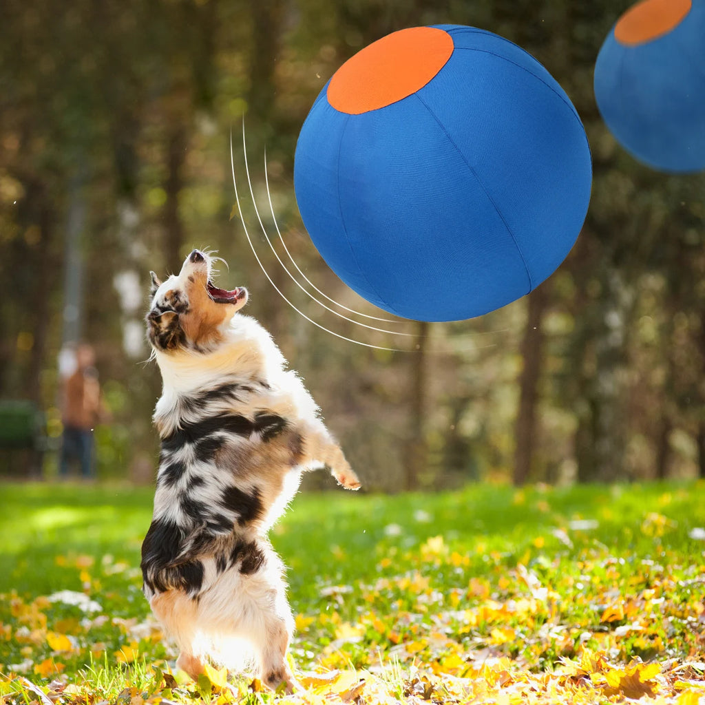 Inflatable Herding Ball Toy for Dogs