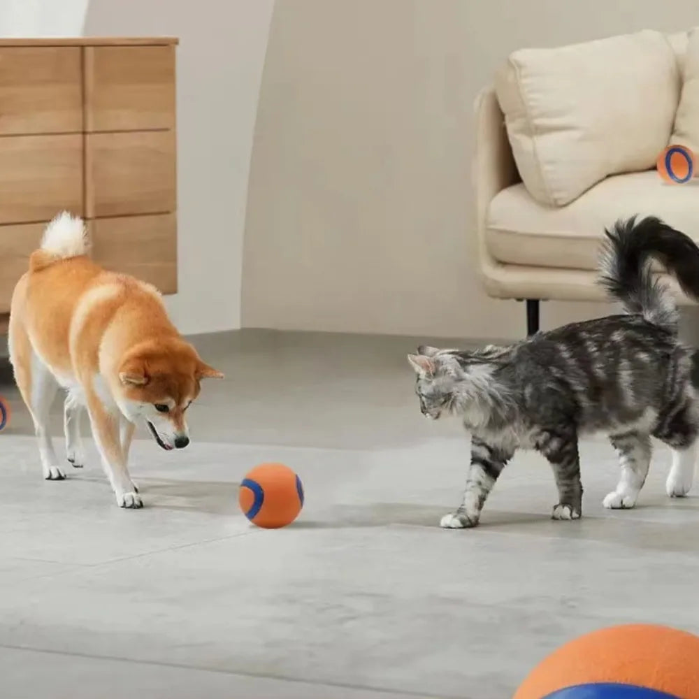 Durable Bouncy Fetch Ball for Dogs