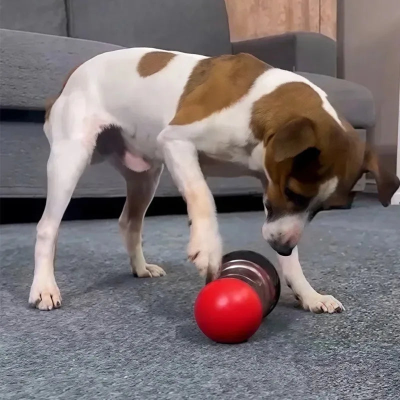 Interactive Rolling Track Treat Toy for Dogs