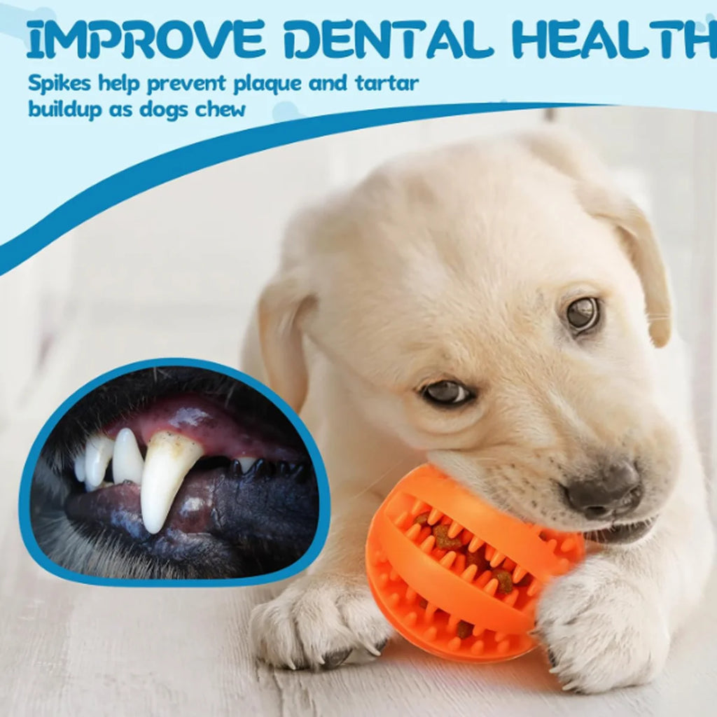 Interactive Treat-Dispensing Dental Chew Ball