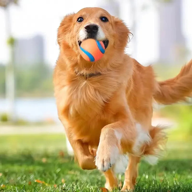 Durable Bouncy Fetch Ball for Dogs