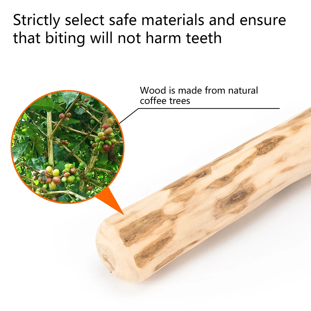 Coffee Wood Chew Stick - size and colour reference