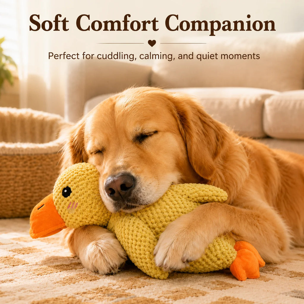 Sleeping Duck Plush Squeaky Dog Toy