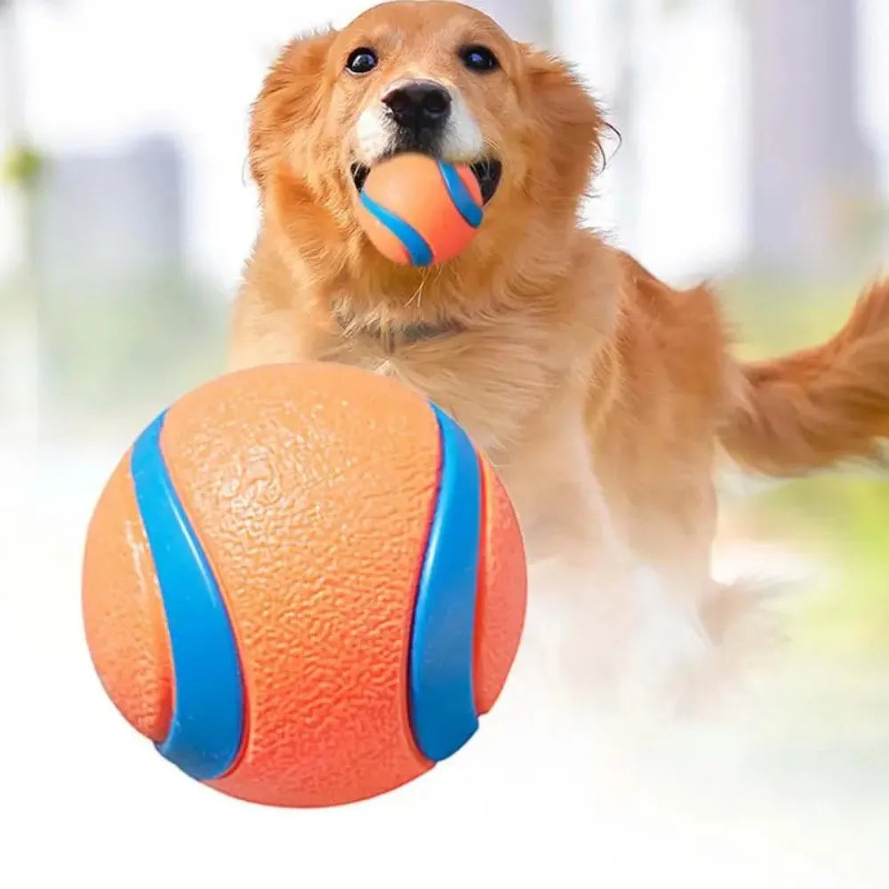 Durable Bouncy Fetch Ball for Dogs