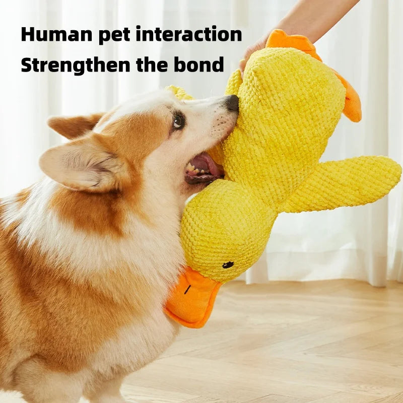 Plush Duck Chew Toy - size and colour reference