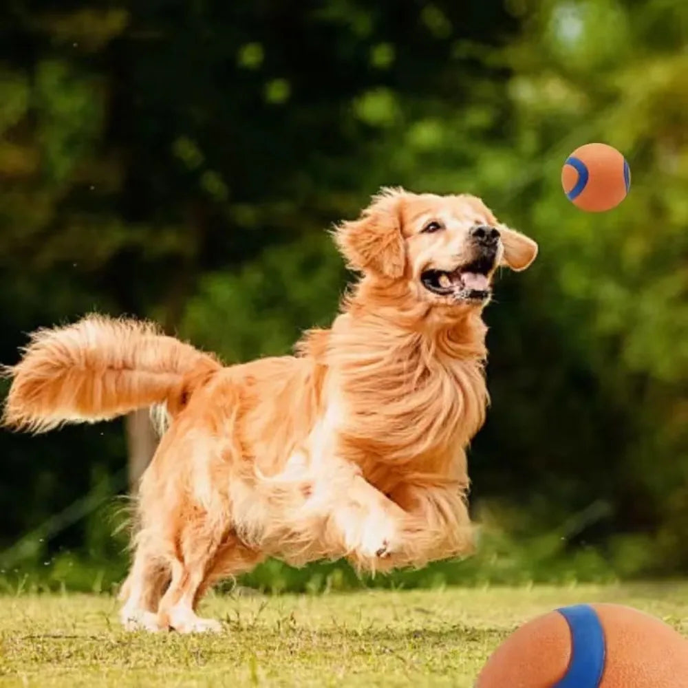 Durable Bouncy Fetch Ball for Dogs