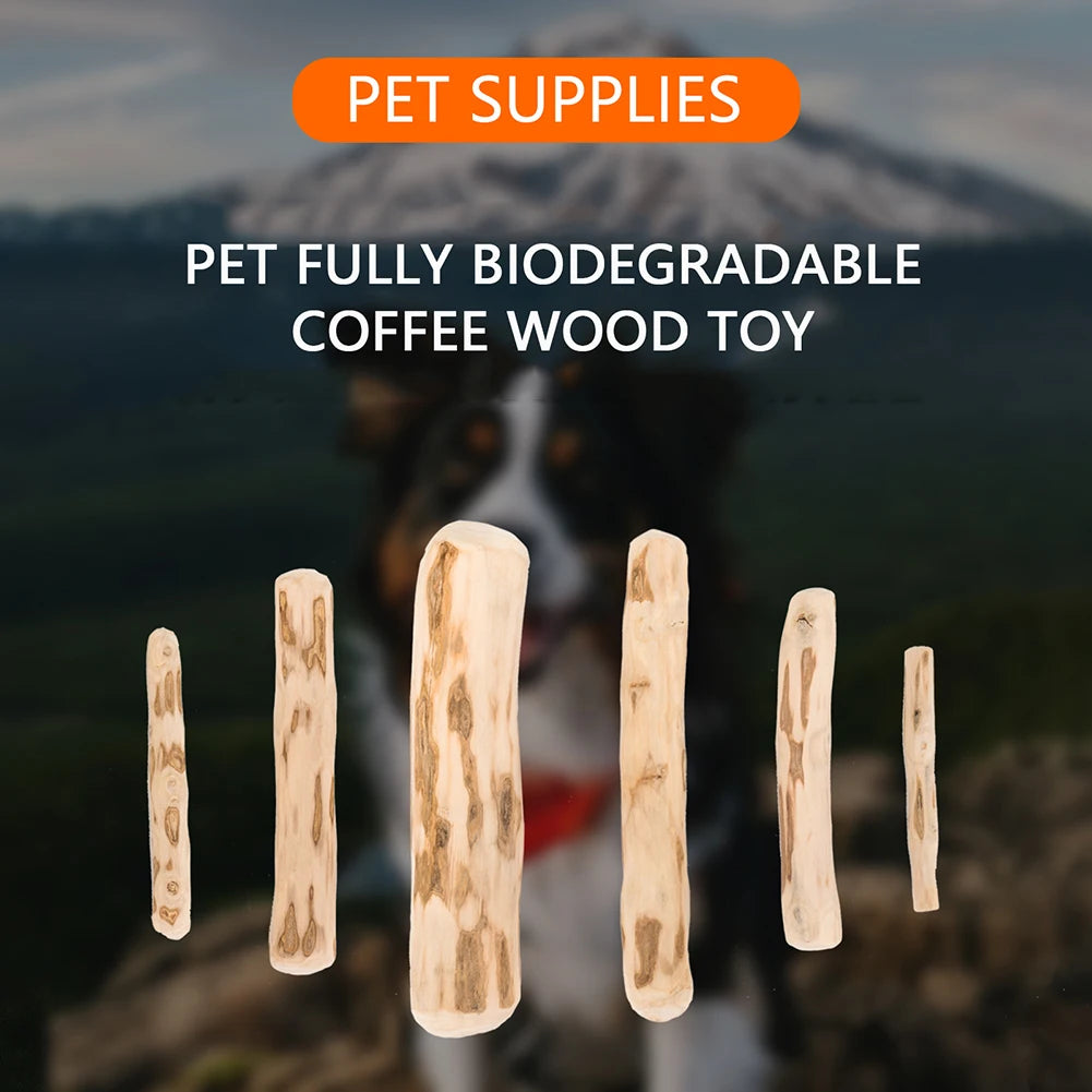 Coffee Wood Chew Stick - additional angle view