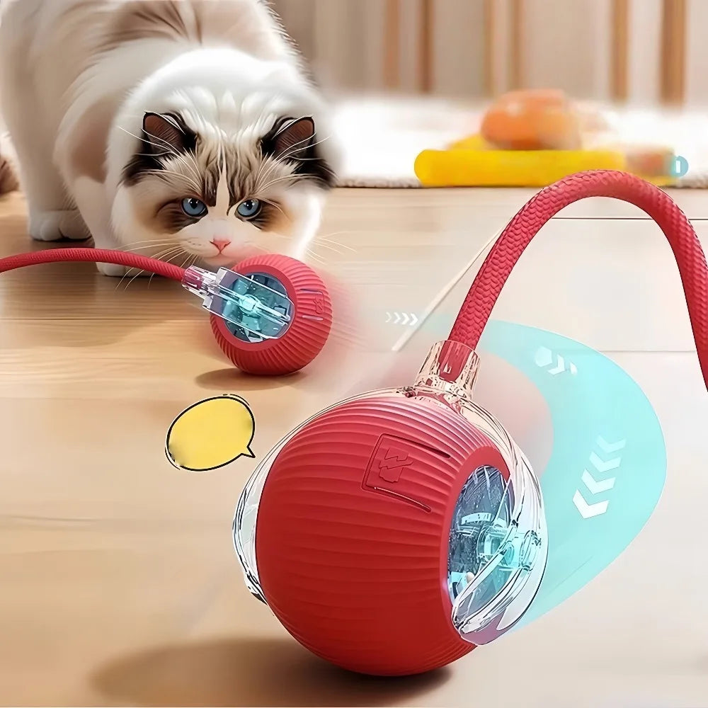 Automatic Rolling Ball Toy - main product photo
