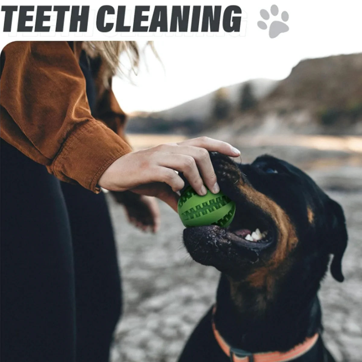 Interactive Treat-Dispensing Dental Chew Ball