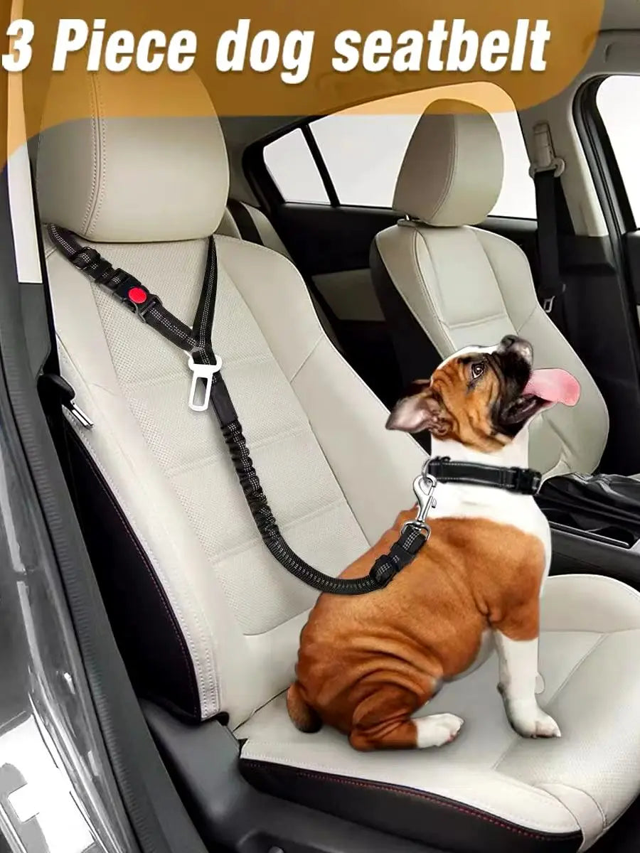 Adjustable Pet Car Seat Belt With Shock Absorbing Elastic Universal Clip Reflective Pet Car Seat Belt Pet Outdoor Supplies