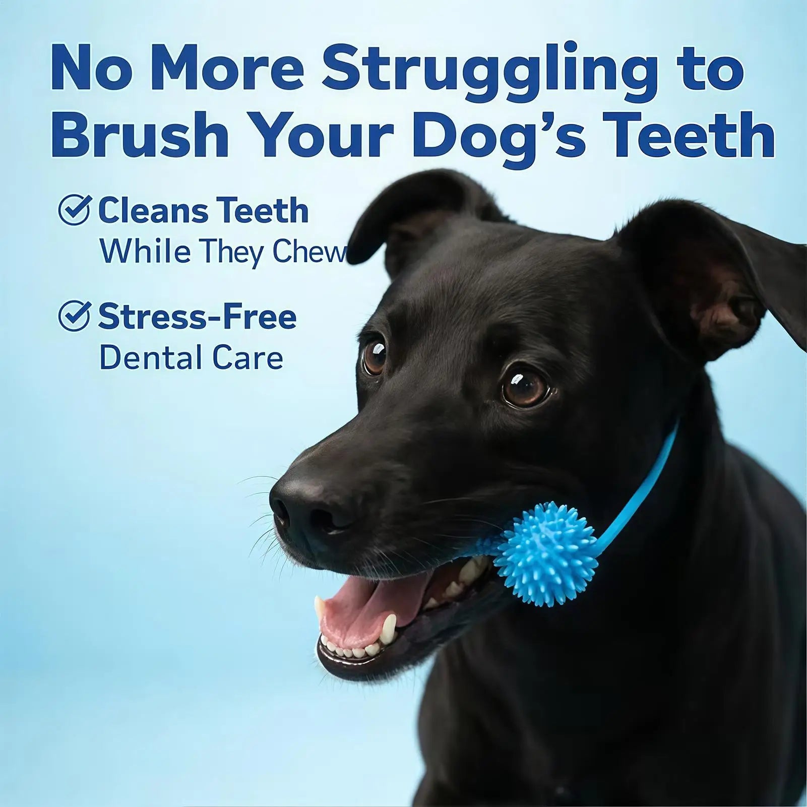 Double-Action Rubber Dental Chew Toy