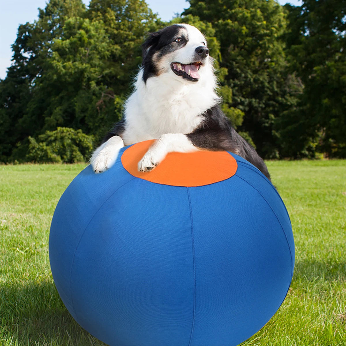 Inflatable Herding Ball Toy for Dogs