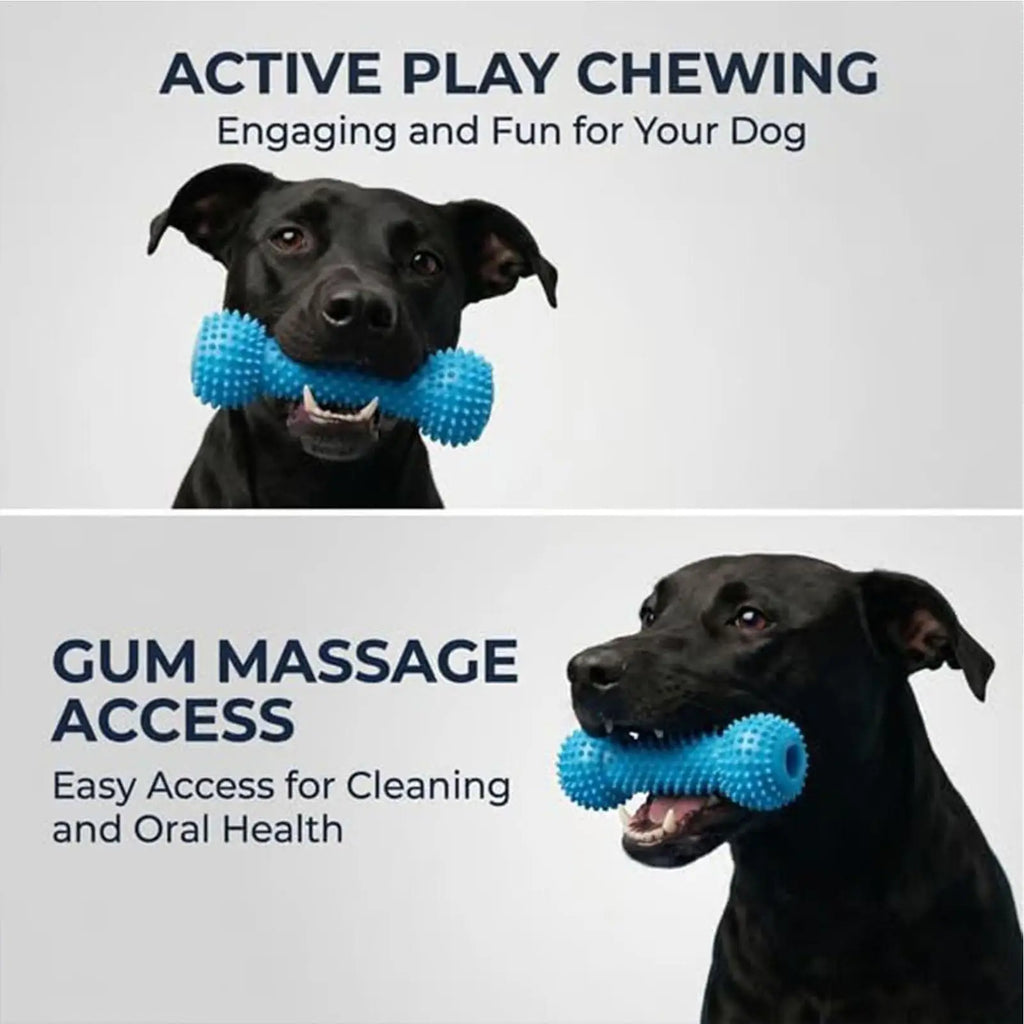 Double-Action Rubber Dental Chew Toy