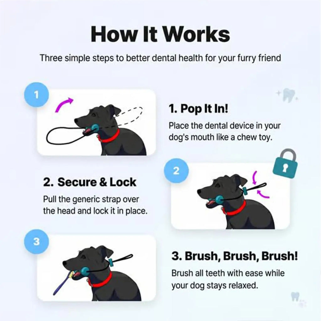 Double-Action Rubber Dental Chew Toy