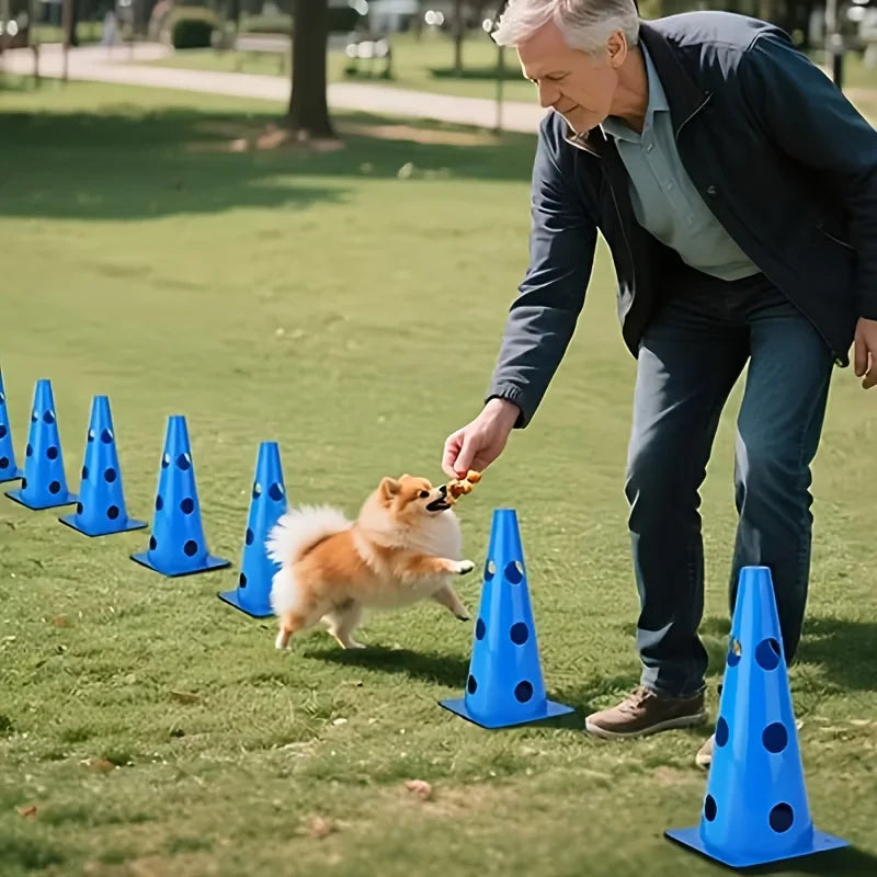 Dog Agility Training Equipment Set — Hurdle & Roadblock