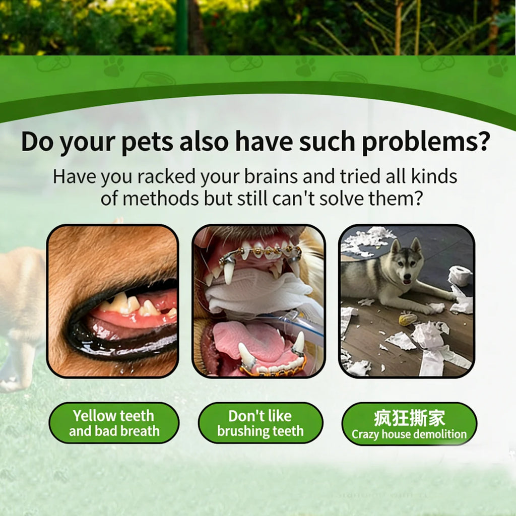 Interactive Treat-Dispensing Dental Chew Ball