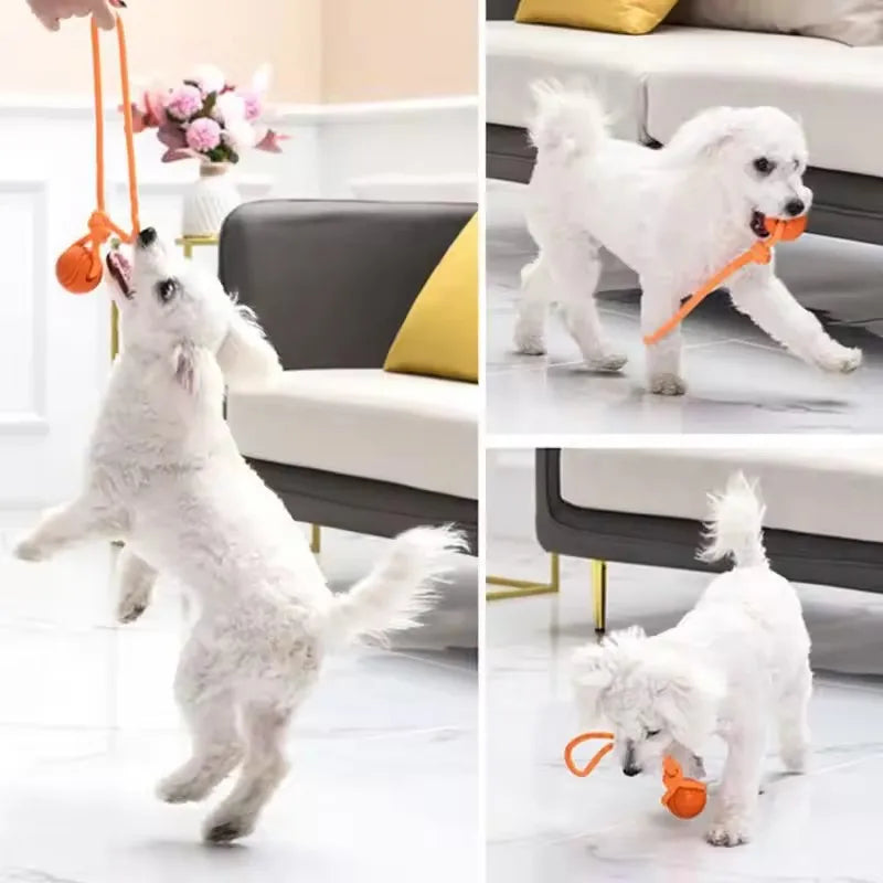 Cotton Tug Ball on Rope for Dogs
