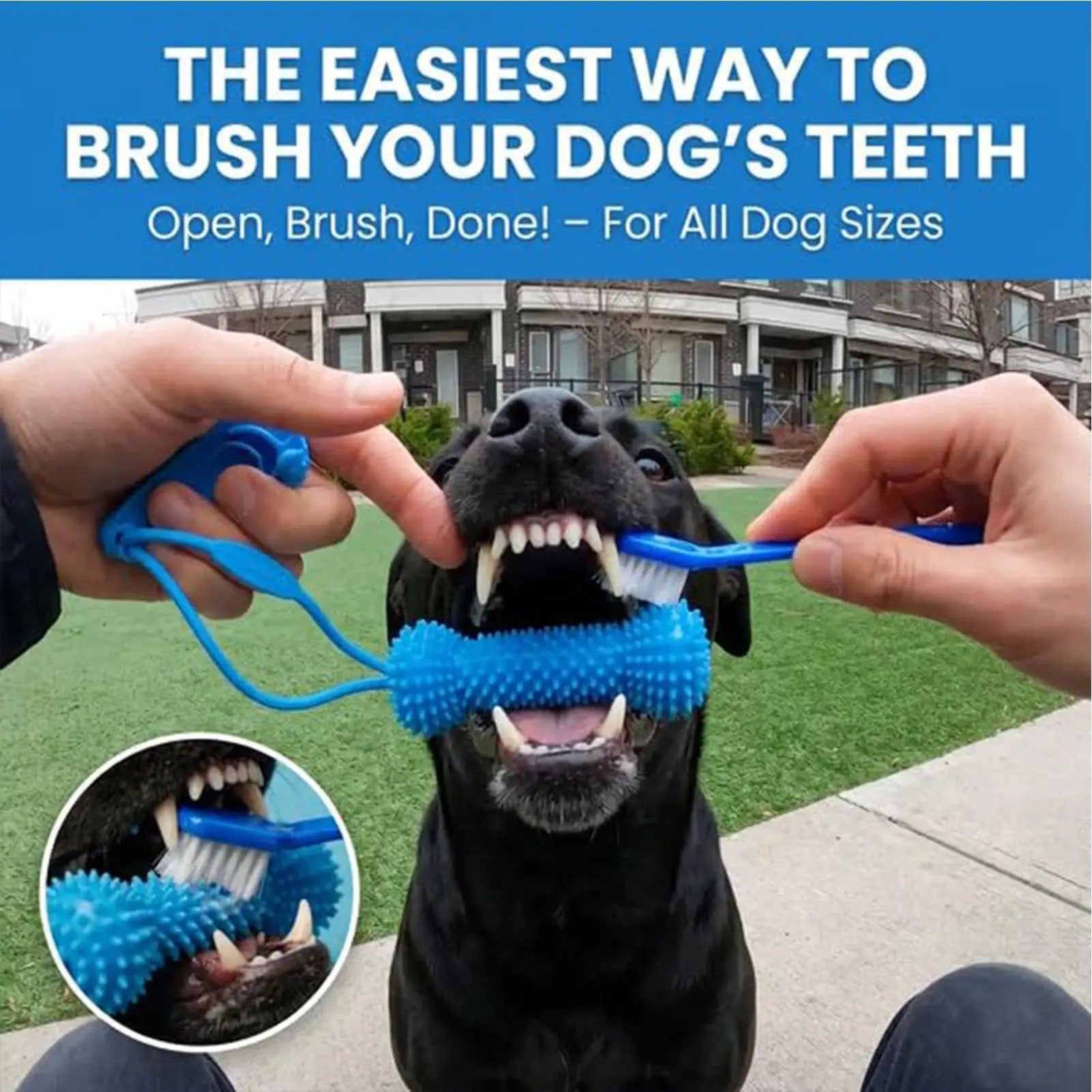 Double-Action Rubber Dental Chew Toy