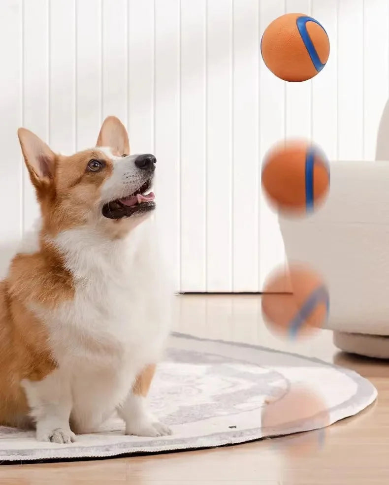 Durable Bouncy Fetch Ball for Dogs