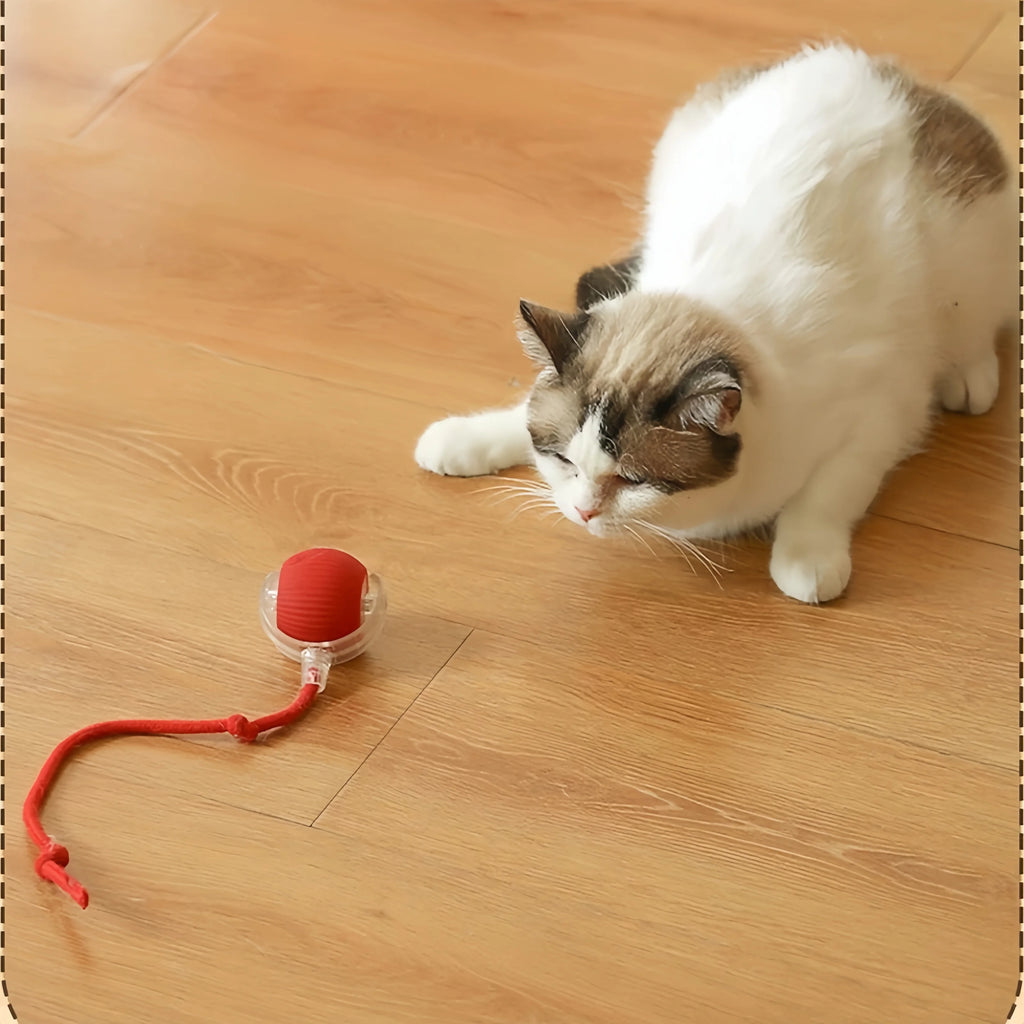 Automatic Rolling Ball Toy - in use