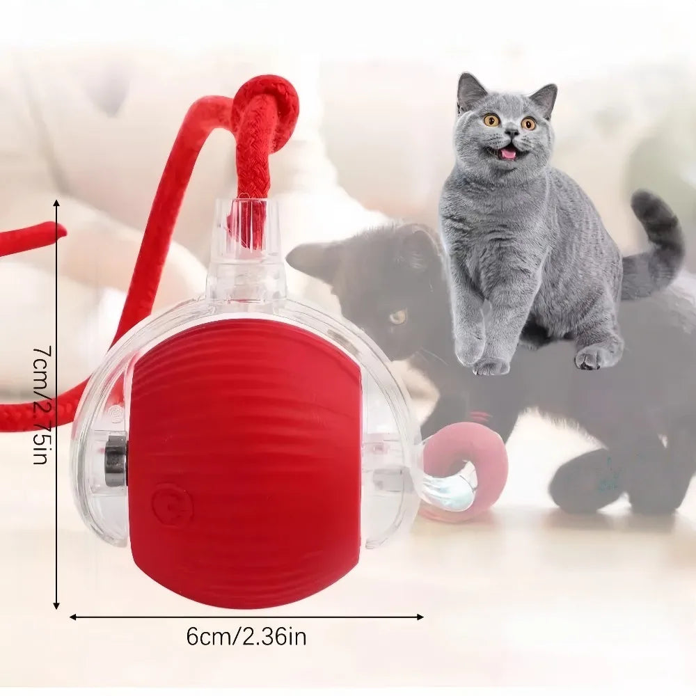 Automatic Rolling Ball Toy - in use