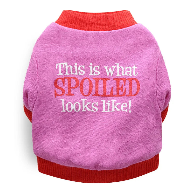 Halloween & Christmas Pet Clothes - Dog & Cat Winter Outfits for Small Breeds, Teddy, Siamese, Persian, Garfield & Blue Cats