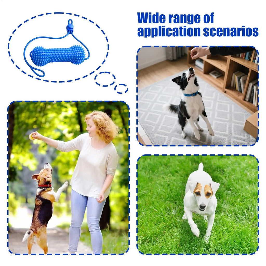 Double-Action Rubber Dental Chew Toy