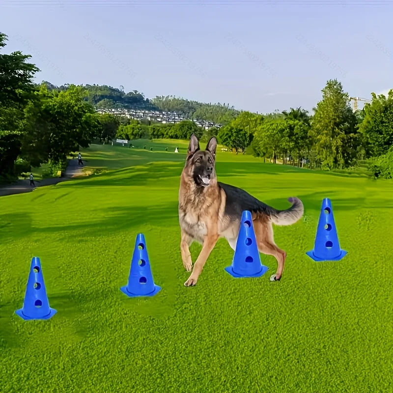 Dog Agility Training Equipment Set — Hurdle & Roadblock
