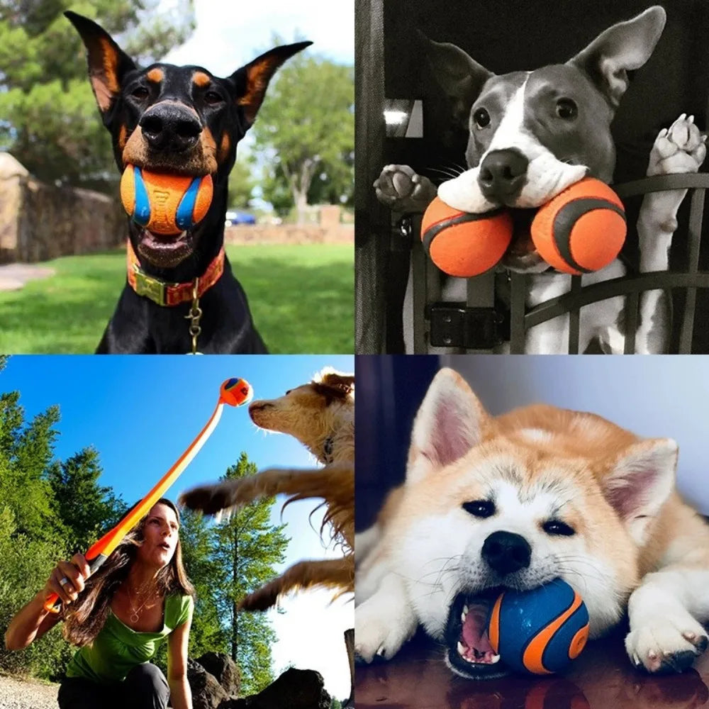 Durable Bouncy Fetch Ball for Dogs