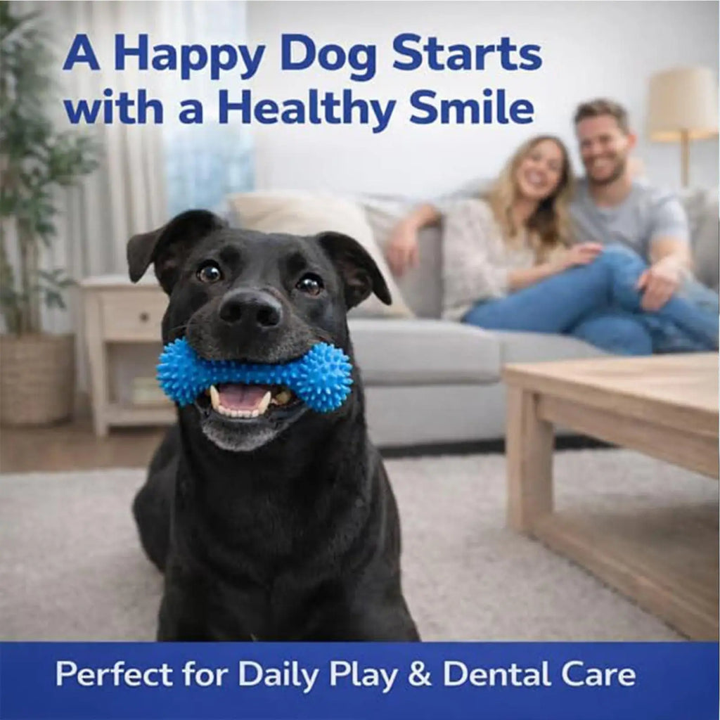 Double-Action Rubber Dental Chew Toy