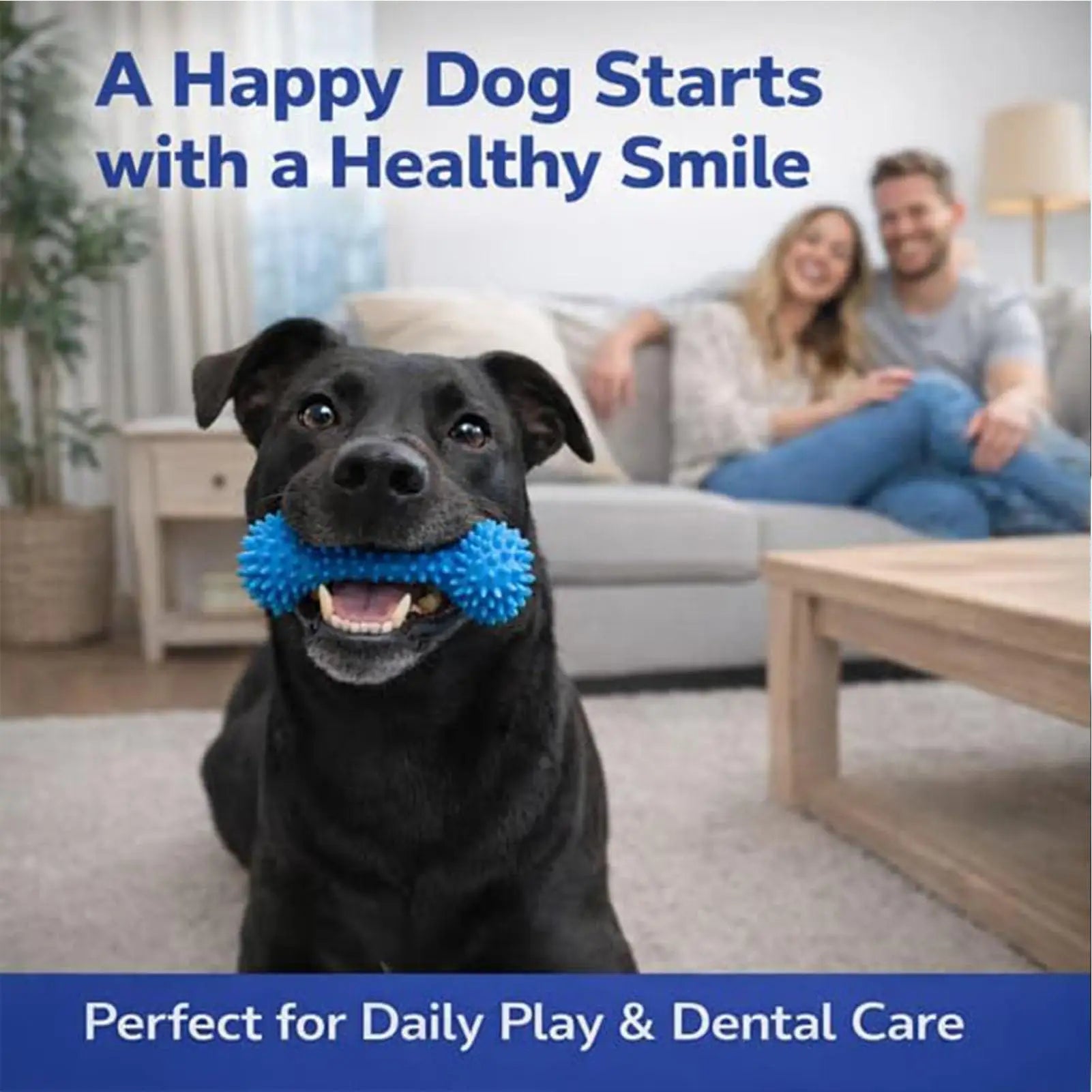 Double-Action Rubber Dental Chew Toy