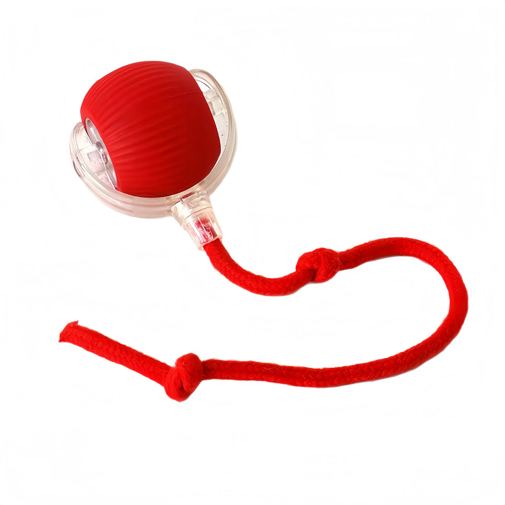 Automatic Rolling Ball Toy - additional angle view