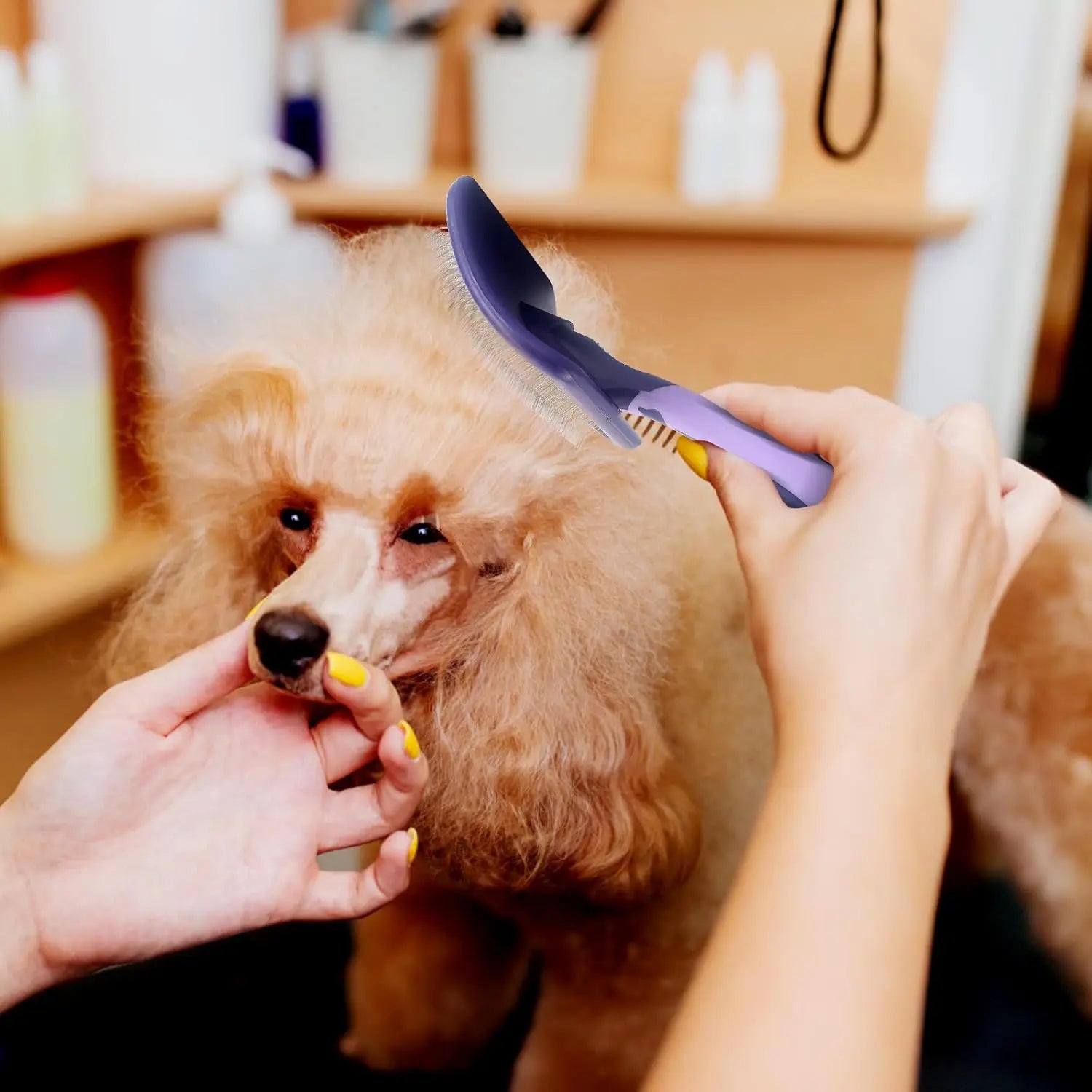 Dematting Grooming Brush for Curly & Long-Haired Dogs
