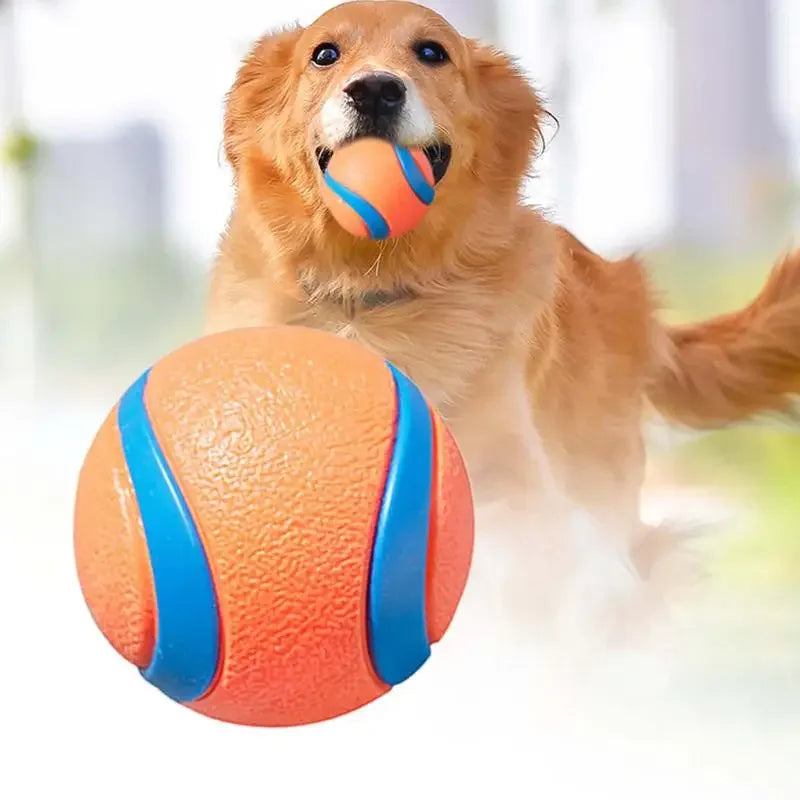 Durable Bouncy Fetch Ball for Dogs
